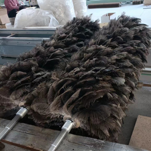 自動(dòng)擦凈機(jī)鴕鳥毛刷